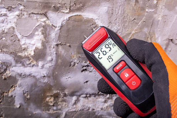 Professional Mold Removal in Otsego, MI
