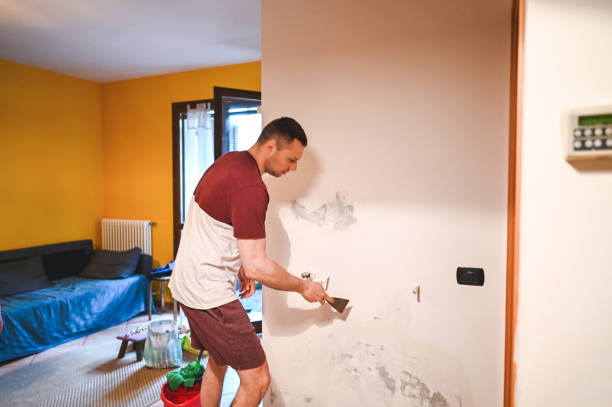 Best Mold Inspection  in Otsego, MI