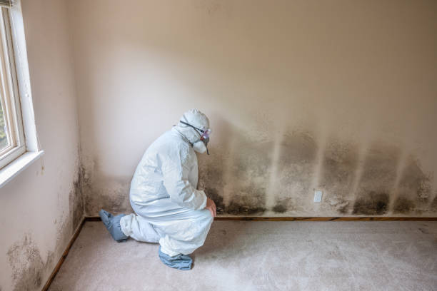 Water Damage Restoration in Otsego, MI