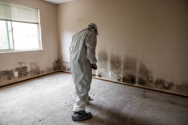 Best Mold Testing  in Otsego, MI